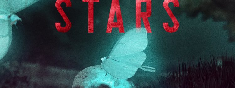 A Terror of Stars (front cover)